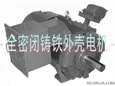 TECO东元电机股份有限公司