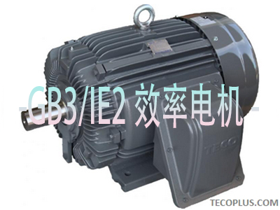 GB3/IE2效率电机_青岛东元电机有限公司