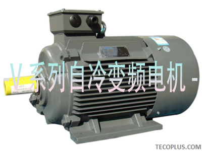 V系列自冷变频电机_青岛东元电机有限公司