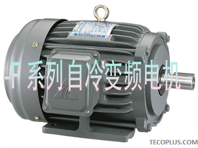 F系列自冷变频电机_青岛东元电机有限公司