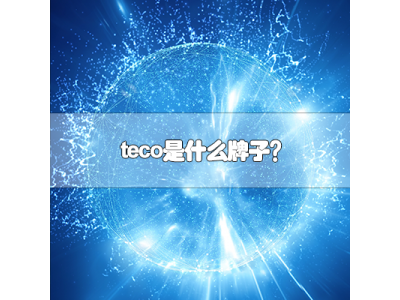 teco是什么牌子?