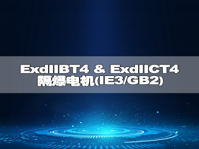 ExdIIBT4 & ExdIICT4隔爆电机(IE3/GB2)