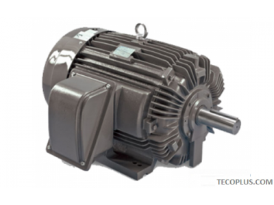 TECO IEEE-841 Motors