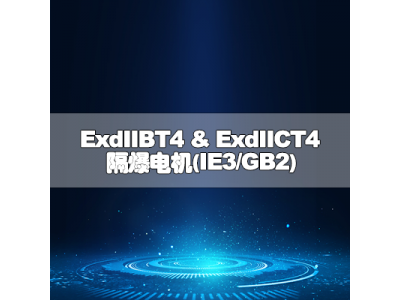 ExdIIBT4 & ExdIICT4隔爆电机(IE3/GB2)