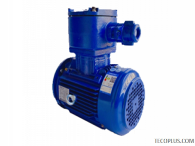 TECO Exd IIBT4 Flameproof Motors