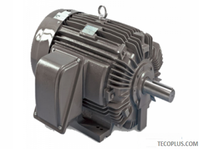 TECO NEMA Explosion-proof Motors