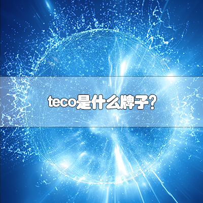 teco是什么牌子?