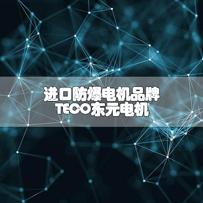 进口防爆电机品牌-TECO东元电机