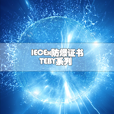IECEx防爆证书-TEBY系列