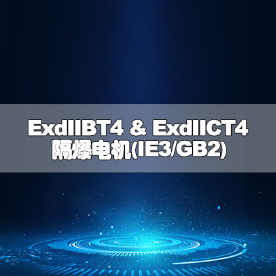 ExdIIBT4 & ExdIICT4隔爆电机(IE3/GB2)