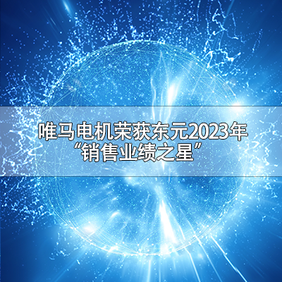 唯马电机荣获2023年“销售业绩之星”