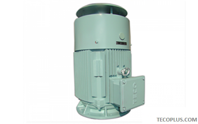 TECO Marine Series Motors