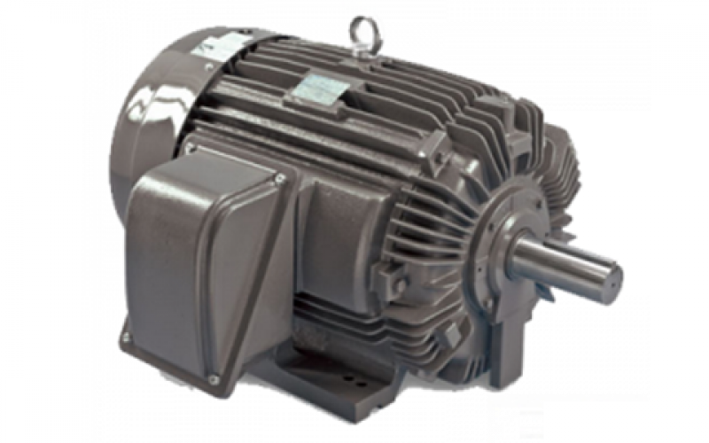 NEMA VFD Dust Explosion Proof Motor